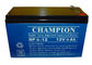 China Champion UPS Battery 12V9Ah NP9-12 Lead Acid AGM Battery VRLA Battery, SLA Battery