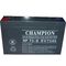 Champion Sealed Lead Acid battery 6V120ah 6V180ah 6V200ah AGM battery Storage UPS battery