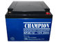 China Champion Battery  12V26Ah NP26-12 Lead Acid AGM Battery VRLA Battery, SLA Battery