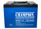 China Champion Battery  12V55Ah NP55-12 Lead Acid AGM Battery VRLA Battery, SLA Battery