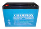 China Champion UPS Battery  12V100Ah NP100-12 Lead Acid AGM Battery VRLA Battery, SLA Battery